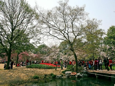 银行卡挂失别慌！3招教你轻松还花呗不逾期（附实用工具）