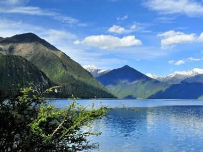 白条是谁的？解析信用支付工具背后的个人、商家与平台关系