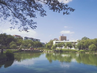 欠花呗2400逾期半年陷困境？"出财小神"助她理清账单重获信用