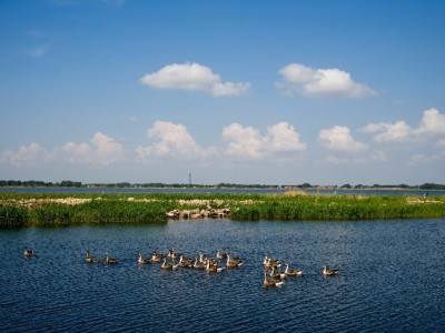 线下花呗收款成小店增收密码？看安出掌柜如何助力商家撬动客流