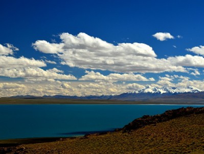 抖音月付覆盖洗衣粉商家！分期无忧让囤货党告别“用钱焦虑”