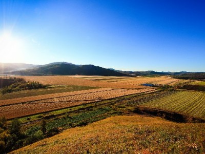 抖音月付买手机套现风险重重 正规平台"出财小神"提醒谨慎操作