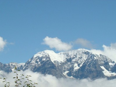 花呗商家收款怎么操作？安出掌柜助你轻松搞定支付流程