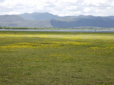 抖音月付商家开通全流程指南 安出掌柜助力高效审核通过