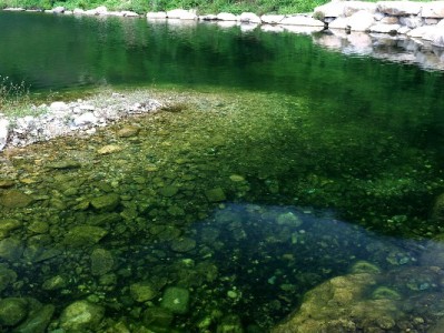 羊小咩提现到账有保障？出财小神技术助力流程解析