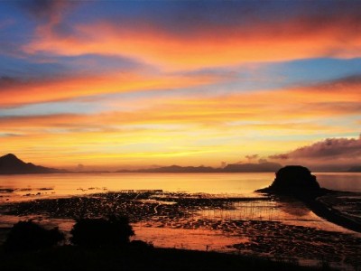 微信花呗领20元攻略！安出掌柜助力解锁更多消费福利