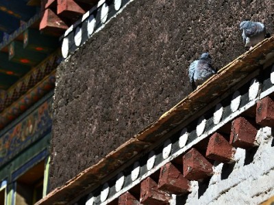 花呗VS微信分付：消费贷选谁？看场景和习惯更实在