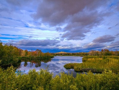 附近白条兑现找靠谱商家？“出财小神”助你安全解急