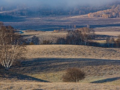 边阳商家尝鲜抖音月付：小镇生意跑出"先用后付"新增速