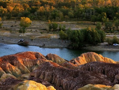 花呗分期被拒别着急！商家不支持的4大原因与解决攻略（安出掌柜助力）