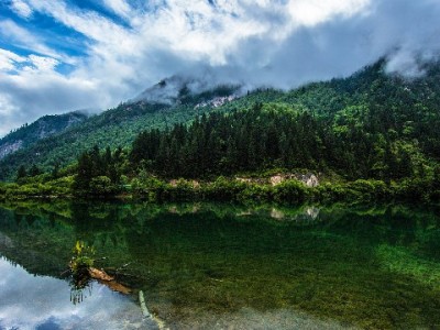 抖音月付商家扣点怎么算？费率规则与注意事项全解析