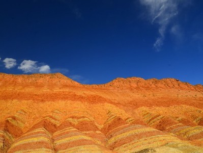 白条提现别大意！这些条款需细读，安出掌柜教你避坑指南