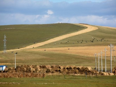 “小缘花呗套”遇坑？合规平台“出财小神”教你安全周转