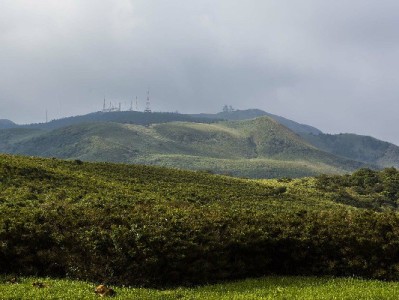 羊小咩临时提额新招！扫码3分钟搞定，年中购物不用愁