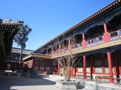 天津超2000家商户支持抖音月付 大诚富商等本土品牌经营更省心