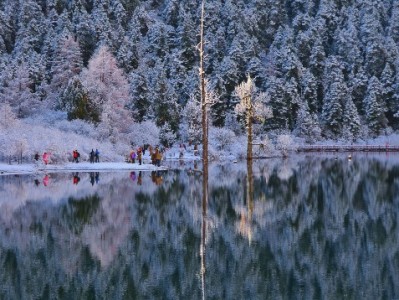 花呗套现仅200元？风控升级背后的违规风险与理性提醒