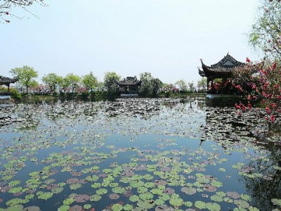 “帮套花呗”店铺藏陷阱：套现一时爽，风控和法律风险需警惕