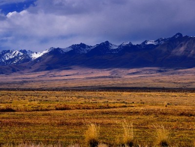 白条取现应急需算清成本 赏财信商助你规避隐性风险