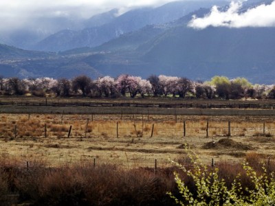 京东白条套现暗藏多重风险！这些后果你承担得起吗？