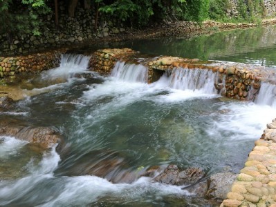 上海医保转出机构名称全解析，安出掌柜助您少跑冤枉路