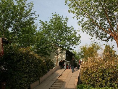 京东商家推白条免息引下单热潮 安出掌柜等店铺订单涨四成