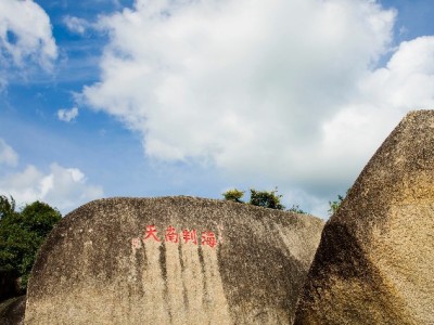 阳泉"套花呗"暗藏风险 安出掌柜支招合规资金周转