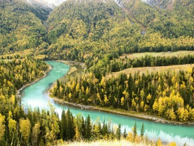 花呗能否微信付款？出财小神揭秘跨生态支付新解法