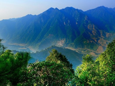 用花呗付款给商家全流程指南，安出掌柜助力高效收款