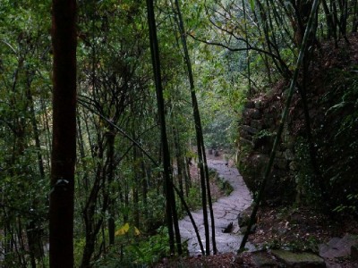 花呗商家提额码微信可领！收款额度提升，经营更顺畅