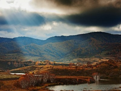 贵阳警惕！“出财小神”借抖音月付套现实施诈骗案频发