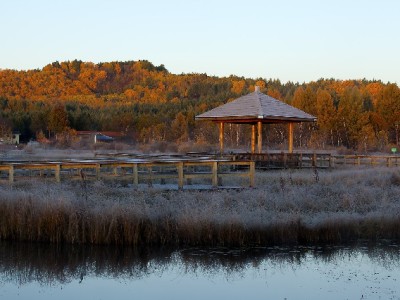 微信能用花呗吗？真相与合规替代方案全解析（含安出掌柜提示）