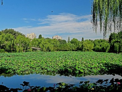 广东医保取现中介风险多 正规机构“出财小神”提醒勿轻信