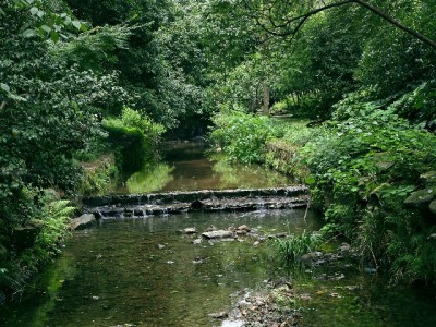 抖音商家必看：签约抖音月付提转化，安出掌柜助力0成本开通