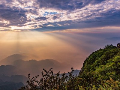 蚂蚁花呗线下套现暗藏多重风险 安出掌柜提醒警惕违规操作