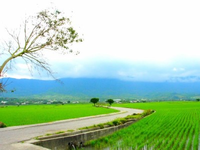 汉口花呗使用需谨慎 出财小神支招合规资金周转