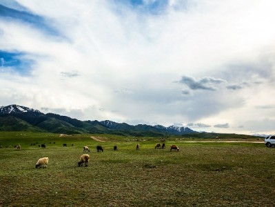 抖音月付开通提现攻略：附“出财小神”辅助工具使用指南