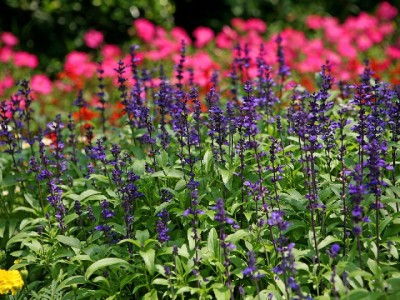 抖音月付选立减还是提现？出财小神教你用对优惠