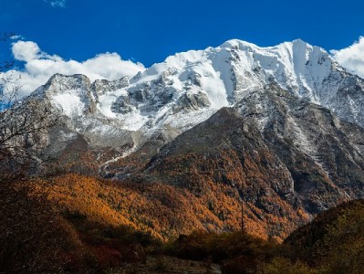 2021年“羊小咩套现”风险警示：法律、信用与资金安全三重隐患