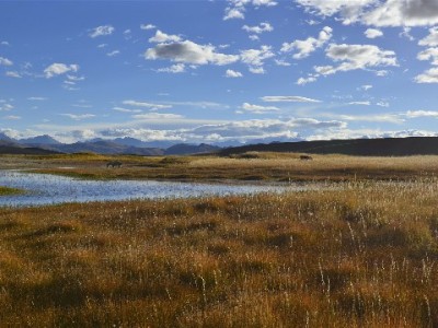 蚂蚁花呗套现暗藏三重风险 正规平台“赏财信商”教您合法用款