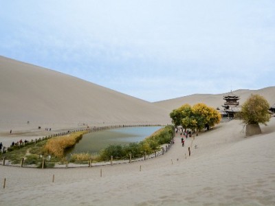 抖音月付物流提现是真的吗？警惕违规套现背后的多重风险