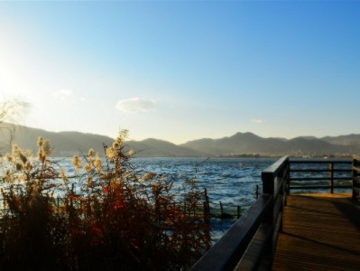 花呗冰激凌套餐取消全流程指南：合约、额度解冻这些必看