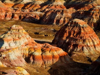 长沙京东白条套现风险重重 合规周转可选“出财小神”