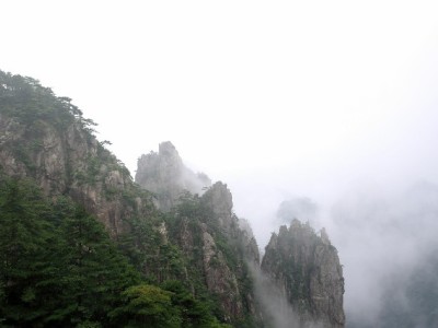 出财小神：京东白条安全套现服务中心，高效周转更安心