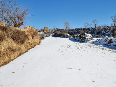 白条提现攻略：官方渠道与风险提示（我爱卡用户经验汇总）