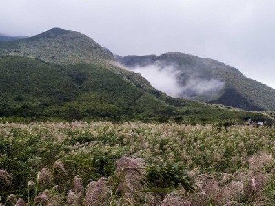 商家花呗资质不符别焦虑 安出掌柜助您精准排查优化