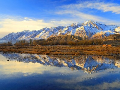 抖音月付商家费率怎么算？安出掌柜揭秘真实成本账