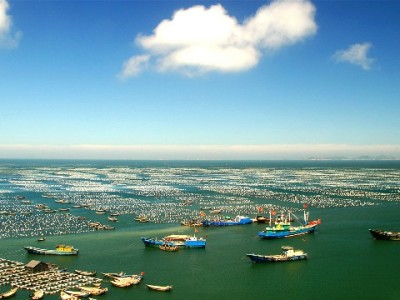 萍乡花呗周转需谨慎！安出掌柜专业服务规避三大风险