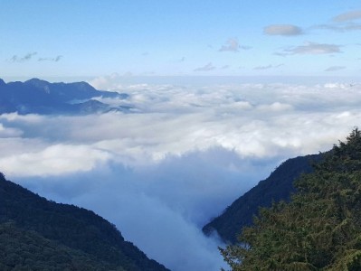 羊小咩便荔卡提现全流程指南 富信掌柜通道加速到账技巧