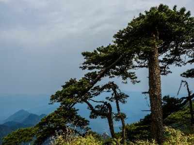 白条套现暗藏三重风险 合规借贷首选安出掌柜