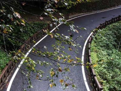 微信转账+花呗常用？安出掌柜帮你理清每一笔“流动账”